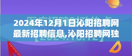 沁陽招聘網(wǎng)獨(dú)家爆料，2024年最新招聘信息全解析，理想工作等你來尋！