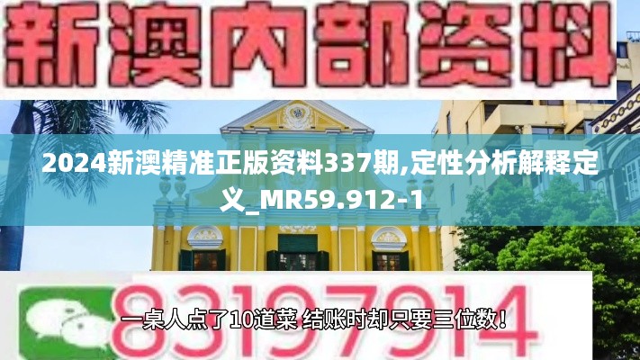 2024新澳精準正版資料337期,定性分析解釋定義_MR59.912-1