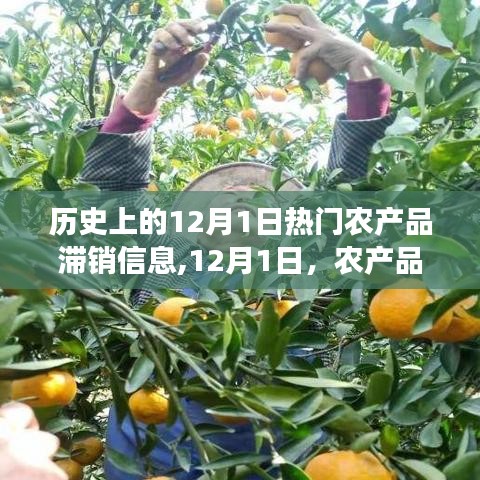 探尋農產品滯銷背后的美景之旅，追尋內心的寧靜與平和在12月1日的歷史時刻