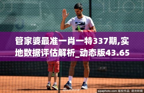 管家婆最準一肖一特337期,實地數據評估解析_動態版43.653-3