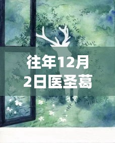 探秘醫(yī)圣葛東旭與小巷美食寶藏，特色小店的奇妙之旅