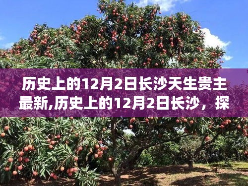 探尋長沙天生貴主的深層意義與現代影響，歷史上的12月2日長沙最新探尋紀實