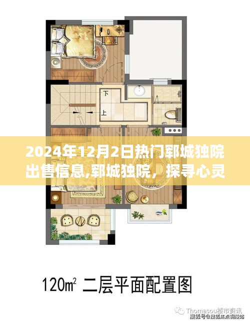 探尋心靈靜謐之旅，鄆城獨(dú)院熱門出售信息——2024年12月最新房源