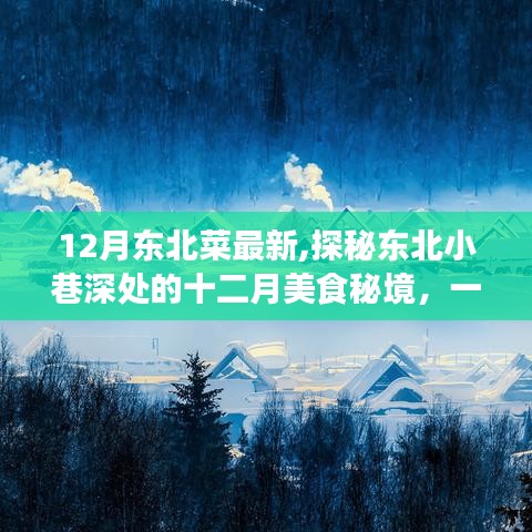 探秘東北小巷深處的十二月美食秘境，一家獨特魅力的東北菜小店新菜品展示