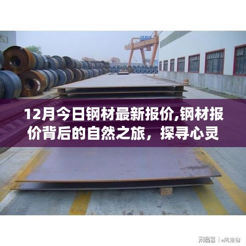 探尋心靈的寧?kù)o與自然的饋贈(zèng)，揭秘鋼材報(bào)價(jià)背后的自然之旅，最新鋼材報(bào)價(jià)一覽（今日十二月）
