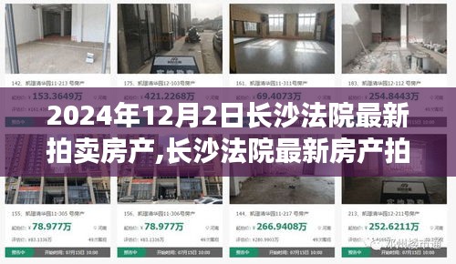 長沙法院最新房產拍賣深度解析，背景、事件與影響