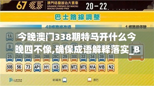 今晚澳門(mén)338期特馬開(kāi)什么今晚四不像,確保成語(yǔ)解釋落實(shí)_BT144.274-2
