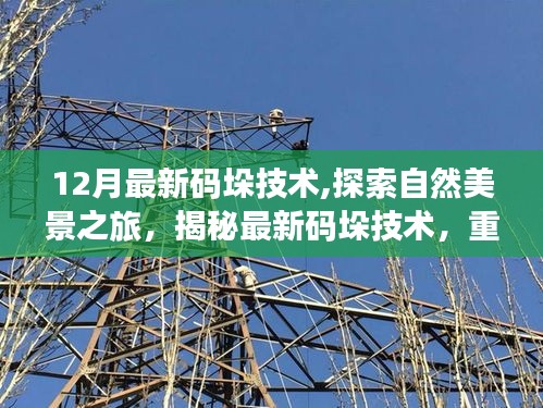 揭秘最新碼垛技術(shù)，探索自然美景之旅，重拾心靈寧?kù)o與平和的秘訣