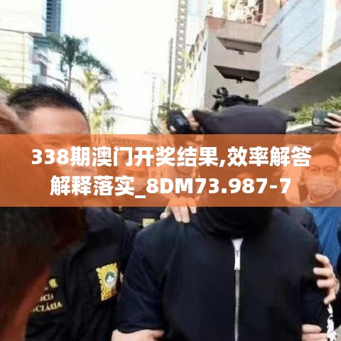 338期澳門開獎結果,效率解答解釋落實_8DM73.987-7