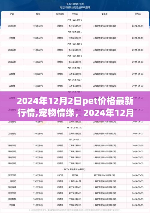 寵物情緣，揭秘寵物價格背后的故事與最新行情
