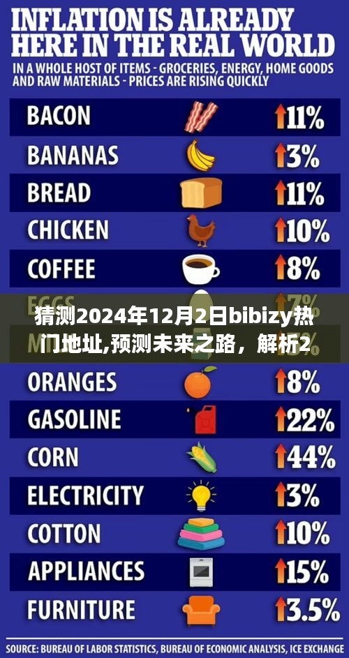 揭秘未來(lái)之路，解析Bibizy熱門地址走向預(yù)測(cè)，探尋2024年12月2日趨勢(shì)展望