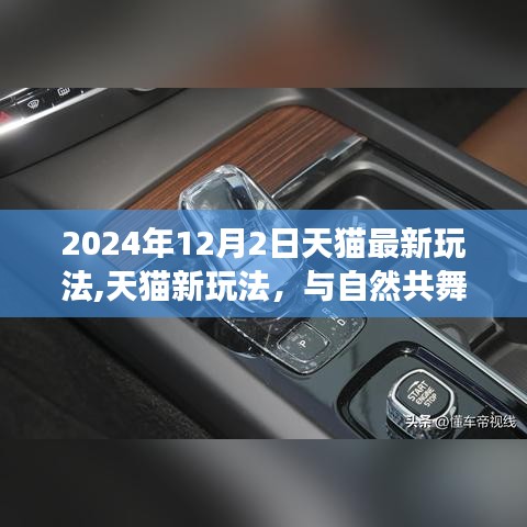 天貓新玩法探索，與自然共舞的日子，開啟內心平靜的奇妙之旅（2024年天貓最新玩法介紹）