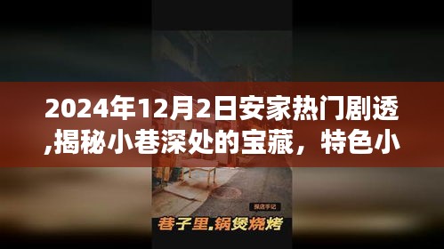 獨家揭秘，小巷寶藏特色小店——安家熱門劇透 2024年12月2日