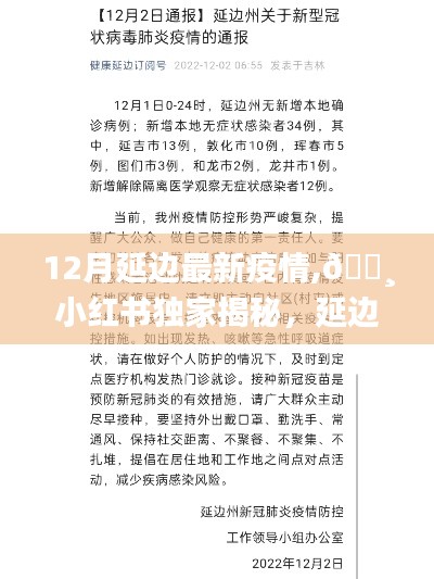 小紅書獨家揭秘，延邊地區12月最新疫情動態與防控進展