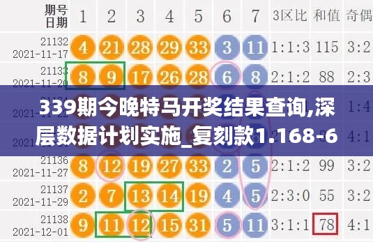 339期今晚特馬開獎結果查詢,深層數(shù)據(jù)計劃實施_復刻款1.168-6