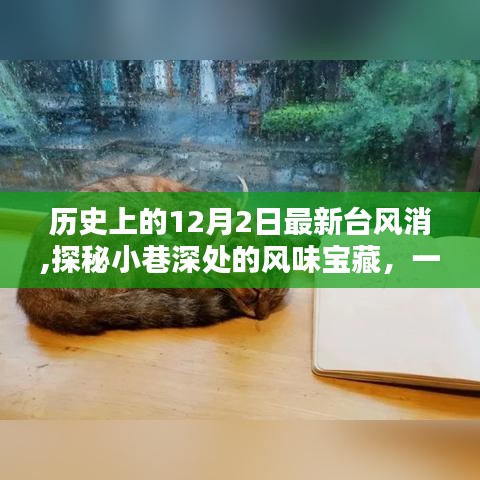 探秘歷史臺風背后的獨特小巷美食寶藏，一家隱藏在小巷深處的風味小店