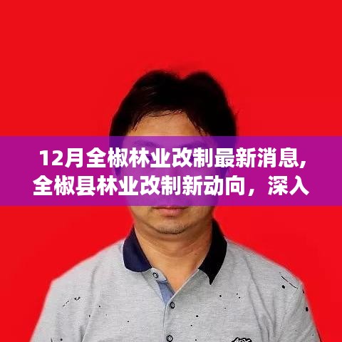 全椒縣林業(yè)改制最新動(dòng)態(tài)，深度解析與觀點(diǎn)闡述