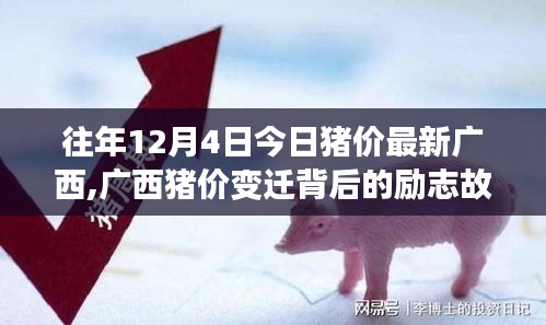 廣西歷年12月4日豬價(jià)變遷背后的勵(lì)志故事，擁抱自信與成就感，學(xué)習(xí)變化之路。