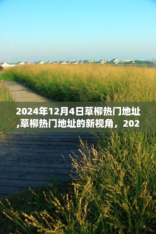 草柳熱門地址，獨特魅力與爭議下的新視角——2024年12月4日