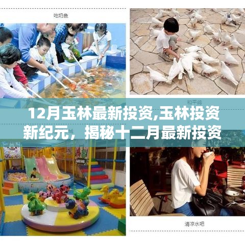 揭秘玉林投資新紀元，十二月最新投資熱點深度解析