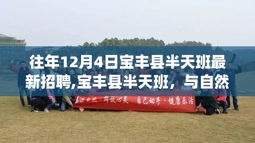 寶豐縣半天班招聘啟事，與自然美景的邂逅之旅，尋找內(nèi)心寧靜的啟程