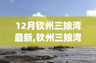 欽州三娘灣游玩全攻略，最新步驟指南與游玩指南（適合初學(xué)者與進(jìn)階用戶）