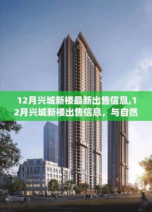 12月興城新樓出售信息，與自然美景的邂逅，尋找寧靜港灣