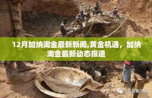 加納淘金熱潮再起，黃金機(jī)遇引領(lǐng)最新動(dòng)態(tài)報(bào)道