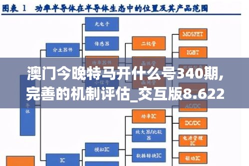 澳門今晚特馬開什么號340期,完善的機制評估_交互版8.622-9