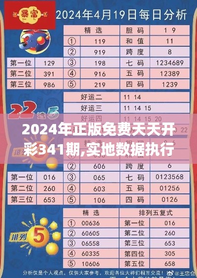 2024年正版免費天天開彩341期,實地數(shù)據(jù)執(zhí)行分析_潮流版2.911