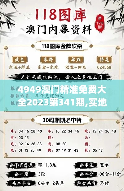 4949澳門精準免費大全2023第341期,實地執(zhí)行考察方案_安卓款8.997