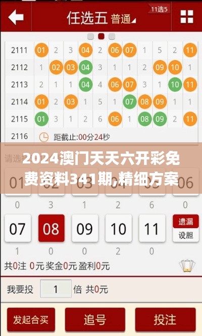2024澳門天天六開彩免費資料341期,精細方案實施_BT1.429