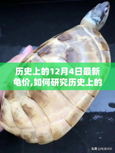 詳細(xì)步驟指南，研究歷史上的龜價(jià)動(dòng)態(tài)與最新龜價(jià)趨勢(shì)分析——以12月4日為例