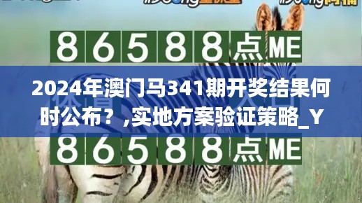 2024年澳門馬341期開獎結果何時公布？,實地方案驗證策略_YE版3.263