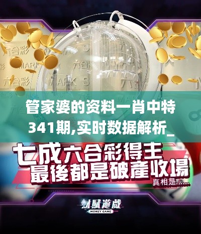 管家婆的資料一肖中特341期,實(shí)時數(shù)據(jù)解析_復(fù)古款4.582