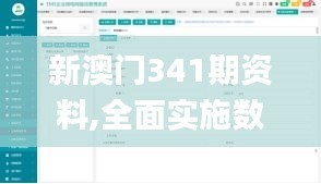 新澳門341期資料,全面實施數據策略_WearOS3.691