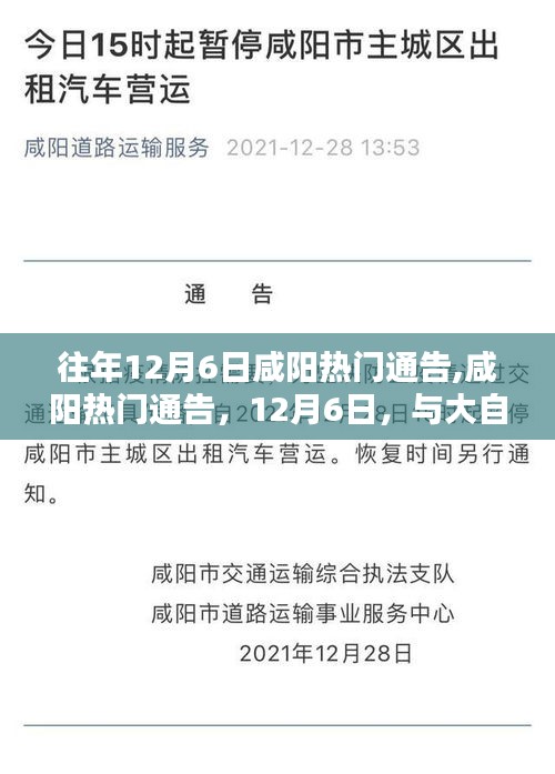 咸陽(yáng)12月6日熱門通告，與自然共舞，探尋內(nèi)心寧?kù)o之旅