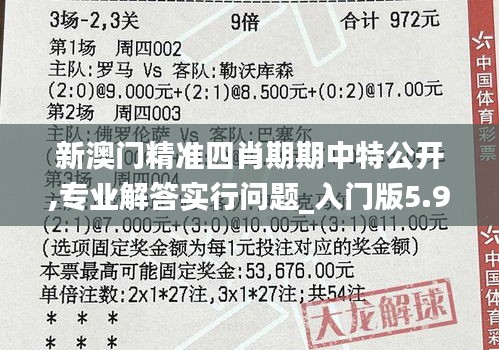 新澳門精準四肖期期中特公開,專業解答實行問題_入門版5.970