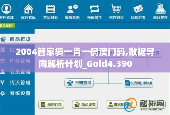 2004管家婆一肖一碼澳門碼,數據導向解析計劃_Gold4.390
