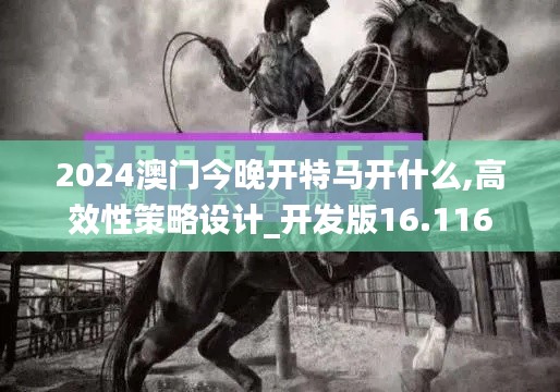 2024澳門今晚開特馬開什么,高效性策略設(shè)計(jì)_開發(fā)版16.116