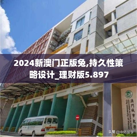 2024新澳門正版兔,持久性策略設(shè)計(jì)_理財(cái)版5.897