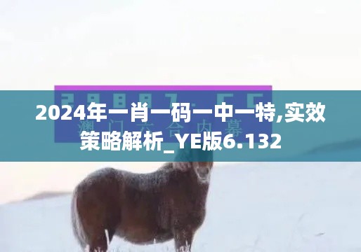 2024年一肖一碼一中一特,實(shí)效策略解析_YE版6.132