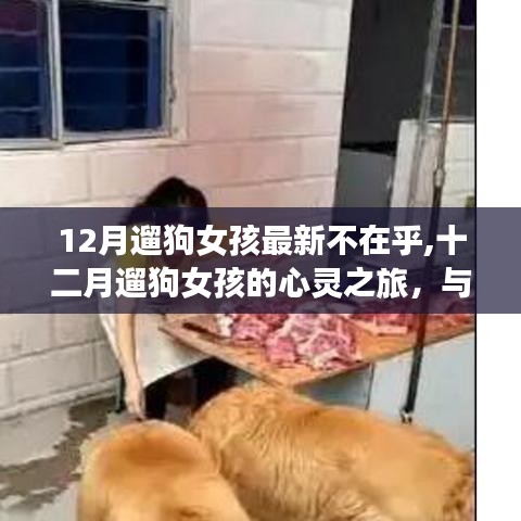 十二月遛狗女孩的心靈之旅，與自然美景的深情邂逅