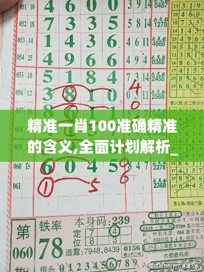 精準(zhǔn)一肖100準(zhǔn)確精準(zhǔn)的含義,全面計(jì)劃解析_BT14.511