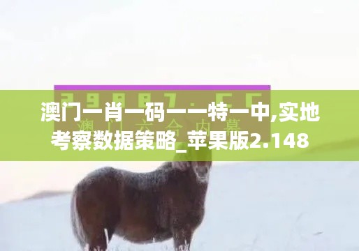 澳門一肖一碼一一特一中,實地考察數(shù)據(jù)策略_蘋果版2.148