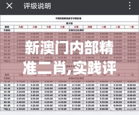 新澳門內(nèi)部精準二肖,實踐評估說明_Deluxe4.872