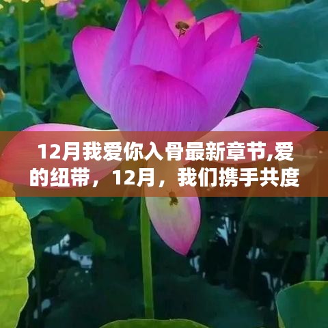 愛的紐帶，十二月溫馨共度時光