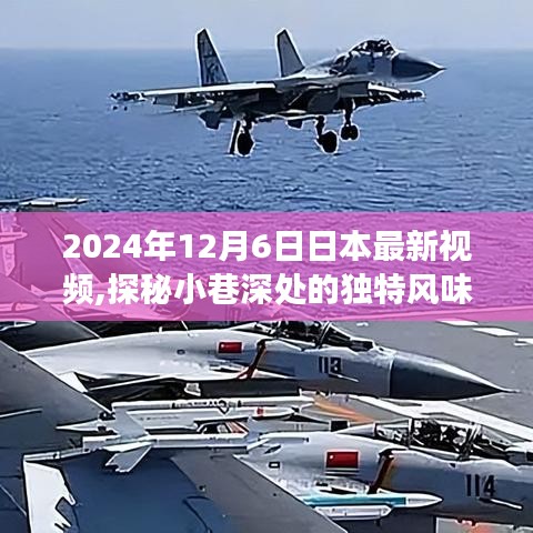 探秘日本小巷深處的獨特風味，揭秘一家特色小店的隱藏故事視頻（2024年最新）