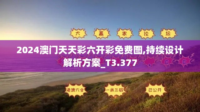 2024澳門天天彩六開彩免費圖,持續(xù)設計解析方案_T3.377