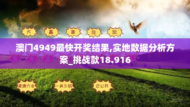 澳門4949最快開獎(jiǎng)結(jié)果,實(shí)地?cái)?shù)據(jù)分析方案_挑戰(zhàn)款18.916